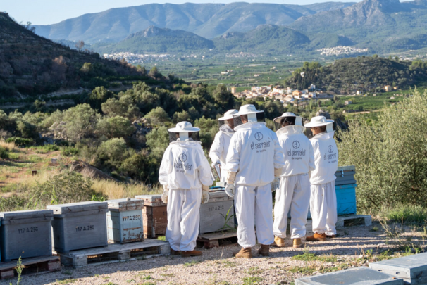 Beekeeper for a Day