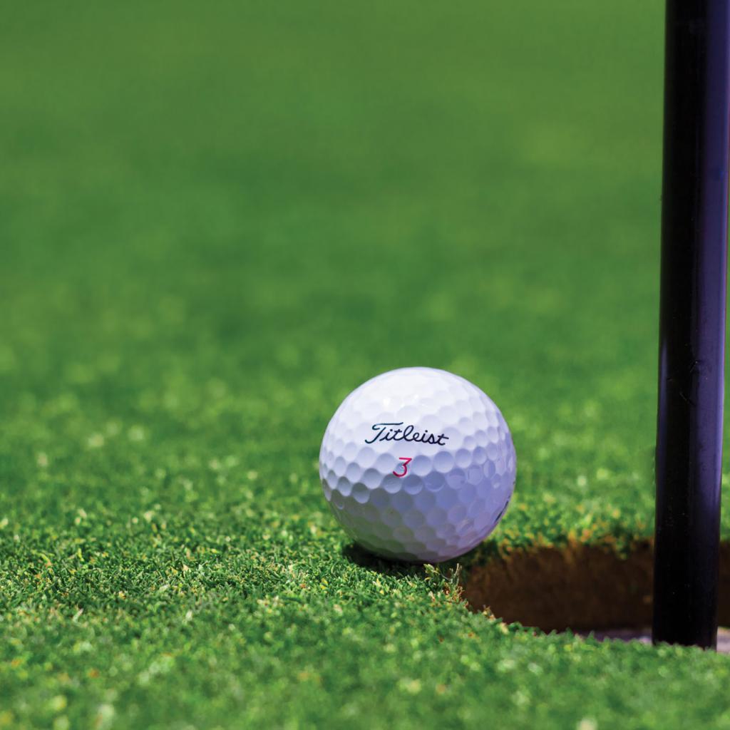 Golf Clinic Experience