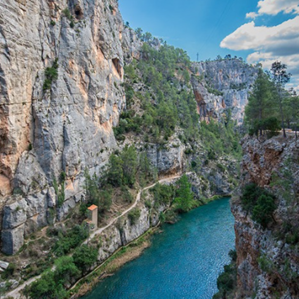 Valencia in Nature